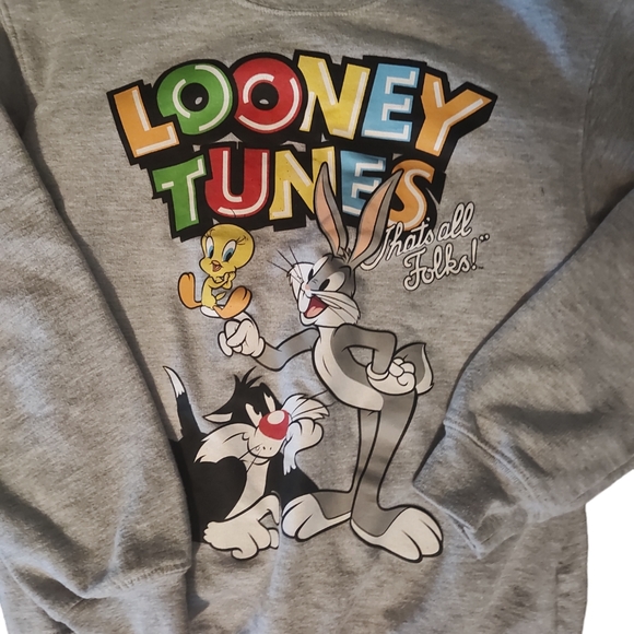 Looney Tunes Womens Graphic Gray Sweatshirt Juniors Size X-SMALL - Picture 3 of 4